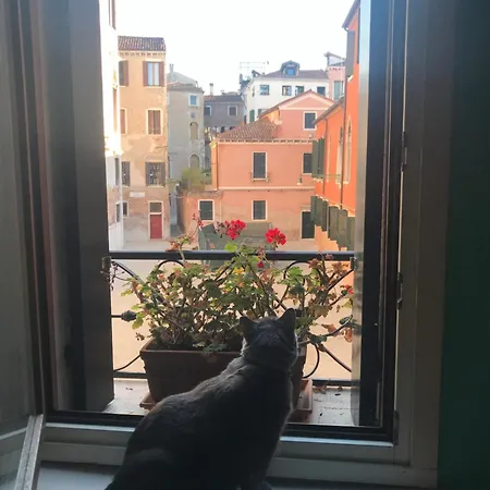 Albrizzi Charme Apartment