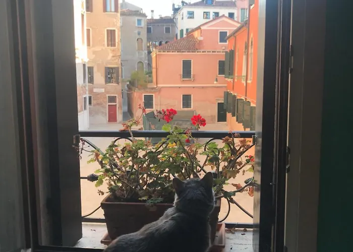 Albrizzi Charme Apartmán